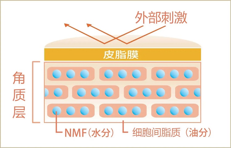 皮膚吸收不好？那要如何正確去角質(zhì)
